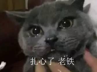 喵小吉吃瓜爆料,娱乐圈最新瓜料大揭秘